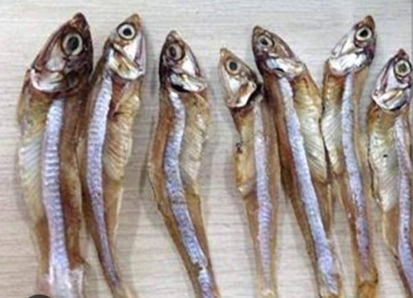 Dry Nettalu (medium size)